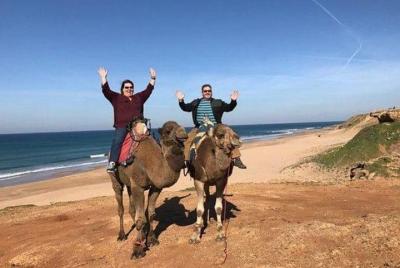 Lo más destacado de la excursión de día completo a Tánger