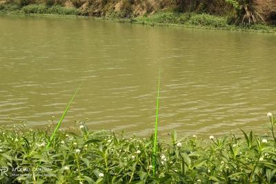 3 días Trekking Kalaw a Pindaya