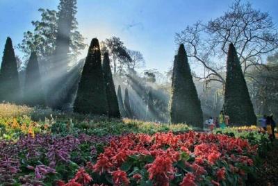 Excursión de un día desde Mandalay a Pyin Oo Lwin