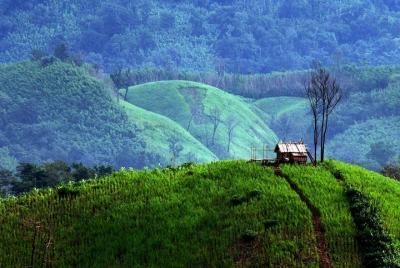 Excursión privada de un día a Pyin Oo Lwin desde Mandalay