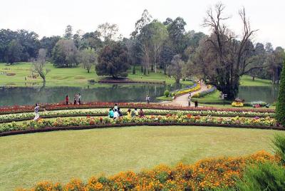 Los mejores de Pyin Oo Lwin en un día