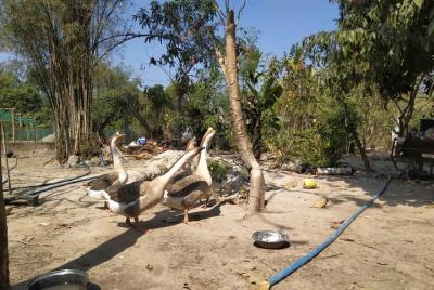 Día de trekking y cabalgata