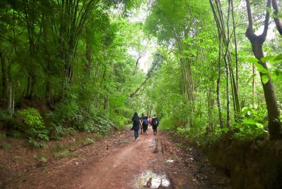 Trekking del día del bosque