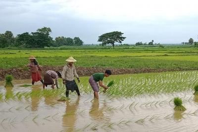 Country Road te lleva a TWANTAY