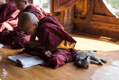 Excursión de inmersión cultural al monasterio budista