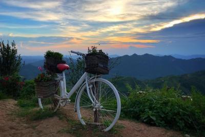 Excursión de un día a Yangon