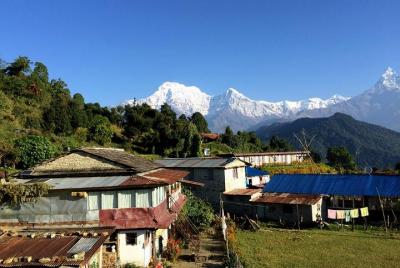 Campamento australiano a Dhampus 