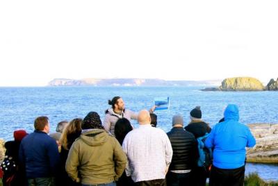 Tour de Game of Thrones® y Giant Tour de Game of Thrones® y Giant's Causeway desde Belfast