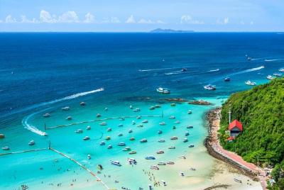 Únase a Full Island Coral Island con almuerzo en Pattaya desde Ba