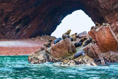 Islas Ballestas y Parque Nacional de Paracas desde el muelle de cruceros San Martín