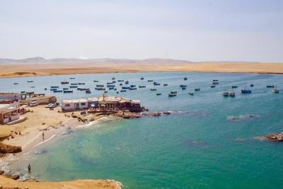  Excursión Reserva Nacional de Paracas y Tambo Colorado desde Puerto San Martín