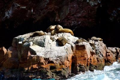 Paseo en barco turístico a las islas Ballestas desde Paracas