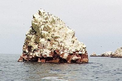 Islas Ballestas y Reserva Nacional Paracas desde el puerto San Martín
