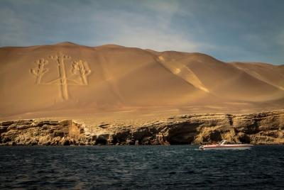 Tour a Islas Ballestas desde Muelle Chaco