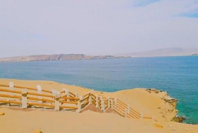 Excursión Reserva Nacional de Paracas desde el puerto San Martín