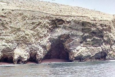  Excursión para grupos Islas Ballestas desde el puerto San Martín