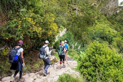 Combo: Entrada a Machupicchu + Guía en Machupicchu por 2 horas Combo: Entrada a Machupicchu + Guía en Machupicchu por 2 horas