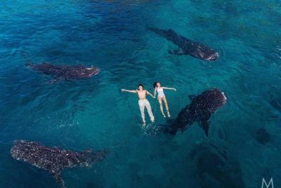Avistamiento de tiburones ballena y paquete privado de recorrido por el banco de arena Sumilon Avistamiento de tiburones ballena y paquete privado de recorrido por el banco de arena Sumilon