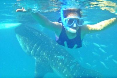 Experiencia de día completo con tiburones ballena en las cataratas de Kawasan desde Cebú. Experiencia de día completo con tiburones ballena en las cataratas de Kawasan desde Cebú.