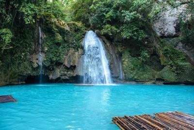 Excursión de un día al Oslob Whale Shark y Kawasan Falls Excursión de un día al Oslob Whale Shark y Kawasan Falls