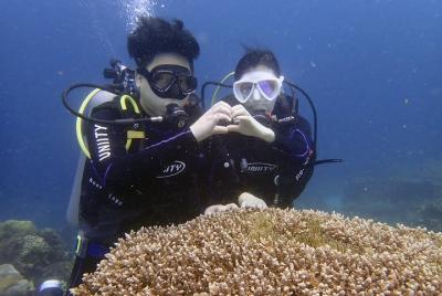 Descubre el buceo Descubre el buceo