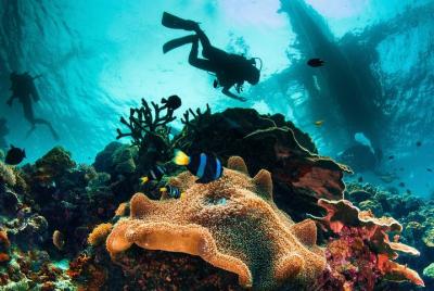 Prueba y descubre el buceo Prueba y descubre el buceo