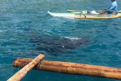 Avistamiento de ballenas y un día en la isla de Sumilon con almuerzo desde la ciudad de Cebú Avistamiento de ballenas y un día en la isla de Sumilon con almuerzo desde la ciudad de Cebú