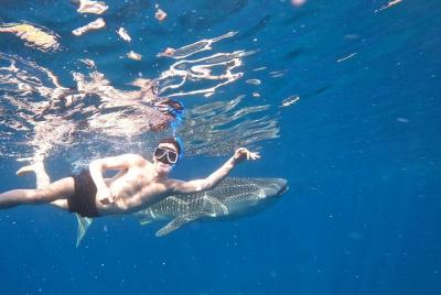 Cebu Whalesharks, Sumilon Whitesand y Kawasan Waterfalls Cebu Whalesharks, Sumilon Whitesand y Kawasan Waterfalls