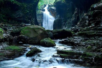 Tour compartido de Hidden Valley desde Manila