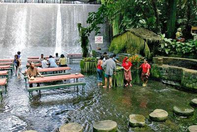 Excursión de un día a Villa Escudero con almuerzo desde Manila