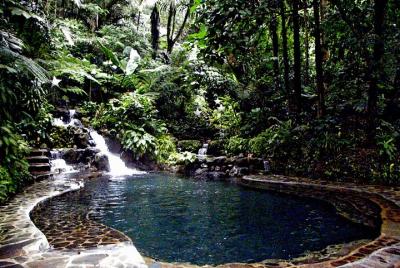Excursión de un día a Hidden Valley desde Manila