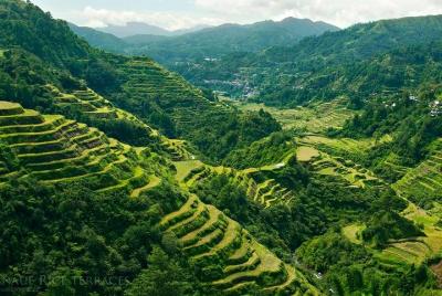 Banaue y Batad UNESCO 3 días 2 noches Tour (Tour privado grupal Max 6 viajeros)
