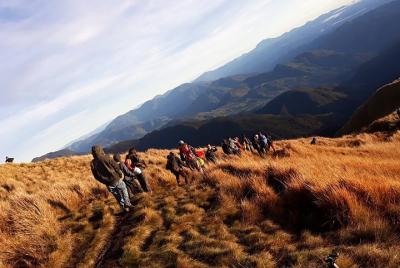Caminata al monte Pulag