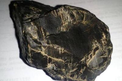 Experimente las gemas en el Parque Nacional Sibalom (Nature Tour)