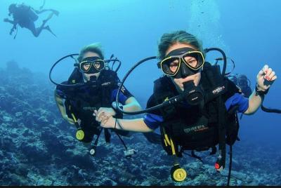 Curso PADI Open Water Diver