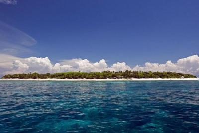 Isla privada de Balicasag con almuerzo de la ciudad de Tagbilaran