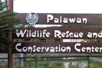 City tour con museo.