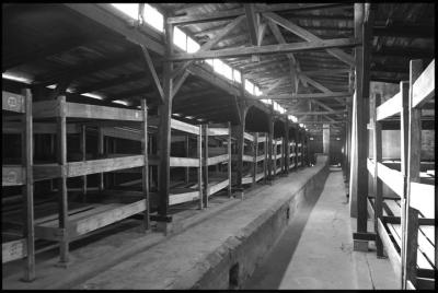 Visita a Auschwitz-Birkenau desde Cracovia con traslado privado d