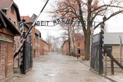Desde Cracovia: visita guiada al museo y al monumento de Auschwit Desde Cracovia: visita guiada al museo y al monumento de Auschwit