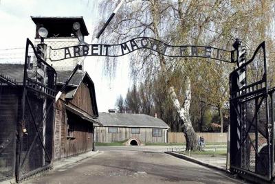 Visita guiada en inglés por Auschwitz-Birkenau con transporte com