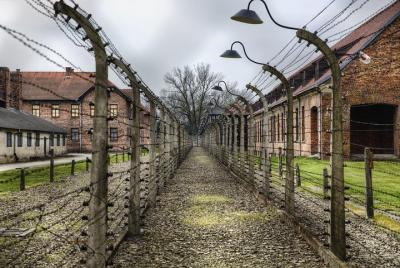 Visita guiada a Auschwitz-Birkenau con traslado desde Cracovia
