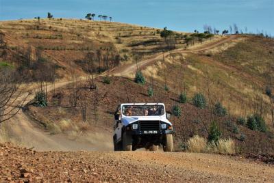 Jeep Safari en las colinas