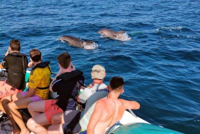 Paseo en barco de 3 horas en las cuevas de Benagil y observación 