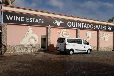 Tour de cata de vinos y costa del Algarve