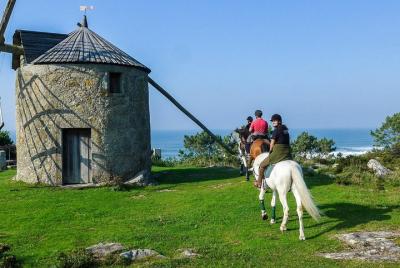 Tour a caballo por Viana do Castelo con transporte desde Oporto /