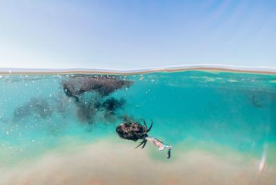  Hablemos de pesca - Pesca de calamar (mínimo 2 personas)