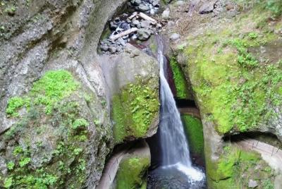 Levada Nova / Sugar Hills