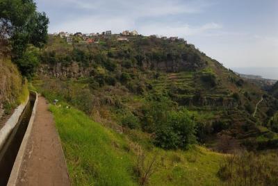 Hiking Tour: Lush Vines & Flowers