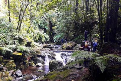 Esquinas ocultas: Levada Walk from Funchal