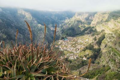 Tour de medio día en grupo pequeño por Madeira desde Funchal
